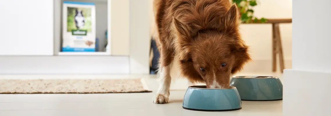 [paste advice page name here]